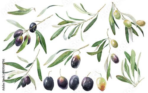 Watercolor olive branches. Olives and olives, Olive oil in a bottle, olive leaves. Olive wreaths, olive bouquets. Gift cards, wedding invitations, posters, scrapbooking, business cards
