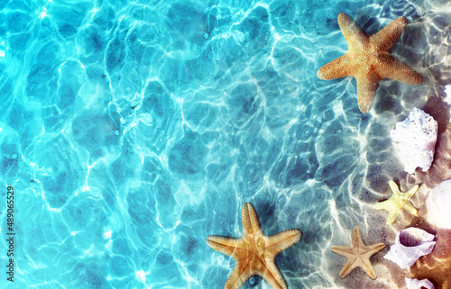 Starfish on the summer beach in sea water. Summer background.