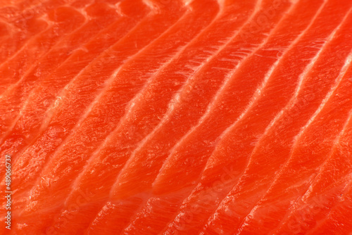 Fish fillet. Red salmon fillet background. Seafood