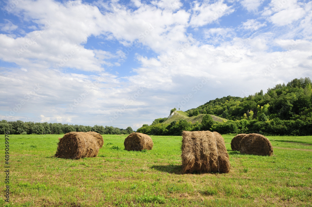 Russian field - the beauty of nature and black earth