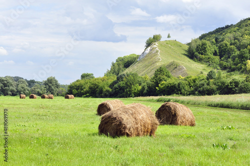 Russian field - the beauty of nature and black earth