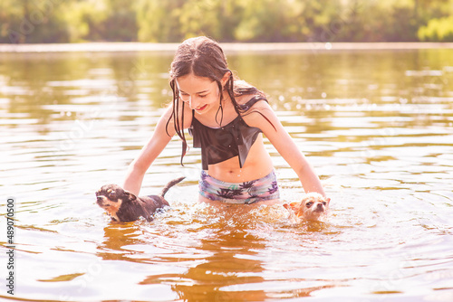 Fototapeta Naklejka Na Ścianę i Meble -  Outdoor recreation with pets. A 10-year-old girl with two Chihuahuas swims in a river in the summer.