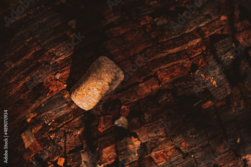 champagne cork plug on rooten wood in forest photo