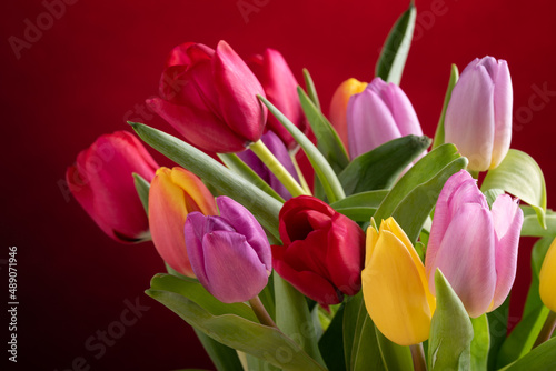 Yellow  red and pink tulips over colored background.