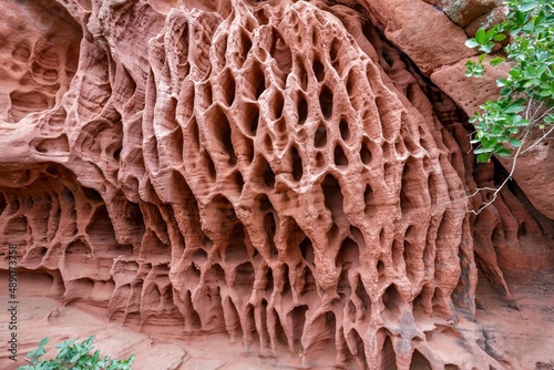 holes in stone - Tafoni weathering in red sandstone