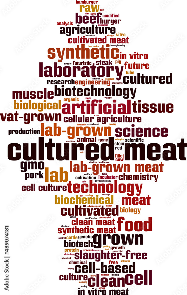 Obraz premium cultured meat word cloud