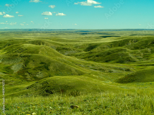 Wide grassland with hills to the horizon