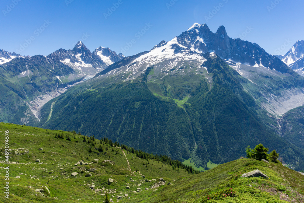 View of the Aiguille Verte in the Mont Blanc massif. Alps.