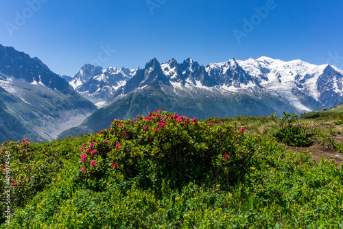 View of the Mont Blanc massif.
