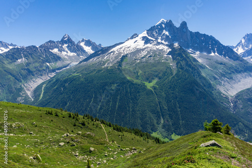 View of the Aiguille Verte in the Mont Blanc massif. Alps.