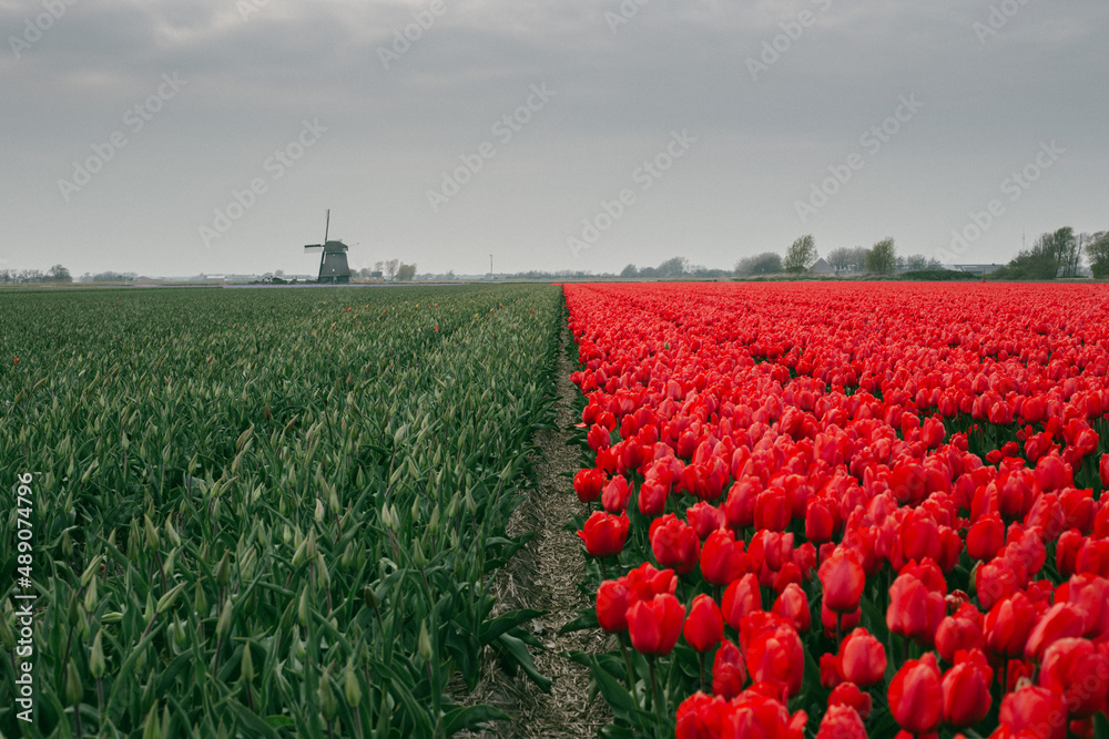 Holland