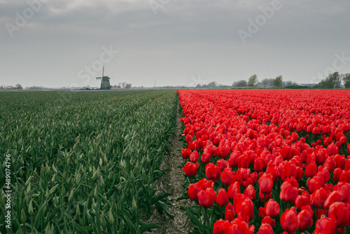 Obraz na płótnie Holland w salonie