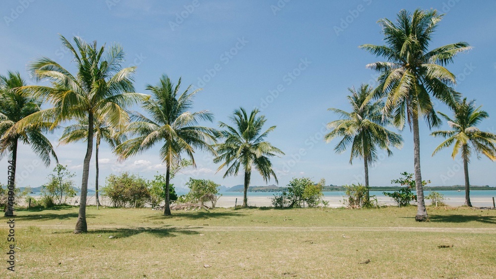 Krabi