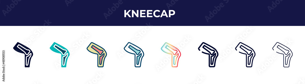 kneecap icon in 8 styles. line, filled, glyph, thin outline, colorful, stroke and gradient styles, kneecap vector sign. symbol, logo illustration. different style icons set.