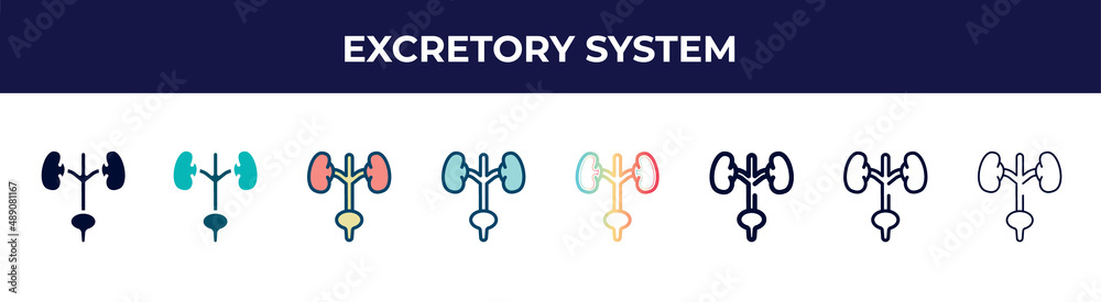 excretory system icon in 8 styles. line, filled, glyph, thin outline, colorful, stroke and gradient styles, excretory system vector sign. symbol, logo illustration. different style icons set. excretory system icon in 8 styles. line, filled, glyph, thin outline, colorful, stroke and gradient styles, excretory system vector sign. symbol, logo illustration. different style icons set.