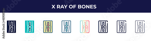 x ray of bones icon in 8 styles. line, filled, glyph, thin outline, colorful, stroke and gradient styles, x ray of bones vector sign. symbol, logo illustration. different style icons set.