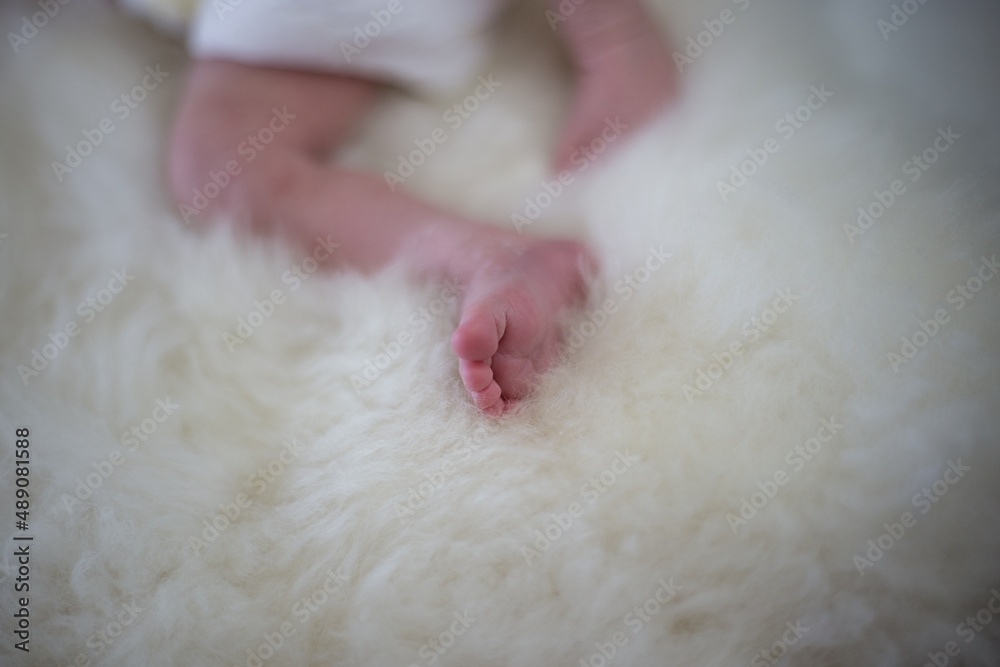 newborn baby sleeping on a lamb fur, small feet. High-quality photo newborn baby sleeping on a lamb fur, small feet. High-quality photo