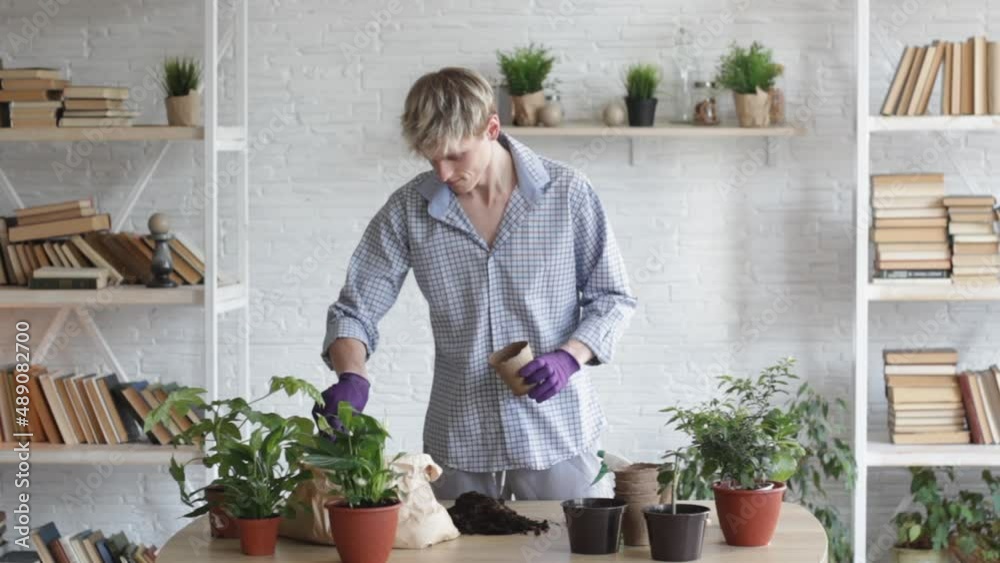 A young man takes care of his indoor plants, does home gardening in his apartment, the concept of caring for nature and plants. A young man takes care of his indoor plants, does home gardening in his apartment, the concept of caring for nature and plants.