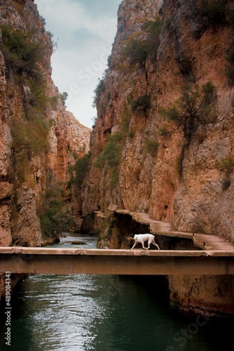 cañón Amadenes photo