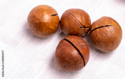 macadamia nuts  on white cloth