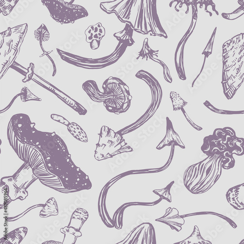 Mushrooms seamless pattern. Ornament of varied poisonous mushrooms. Vector illustration in retro engraving style. Abstract design for wallpaper, decor, wrap, background, textile. © Olga Sayuk