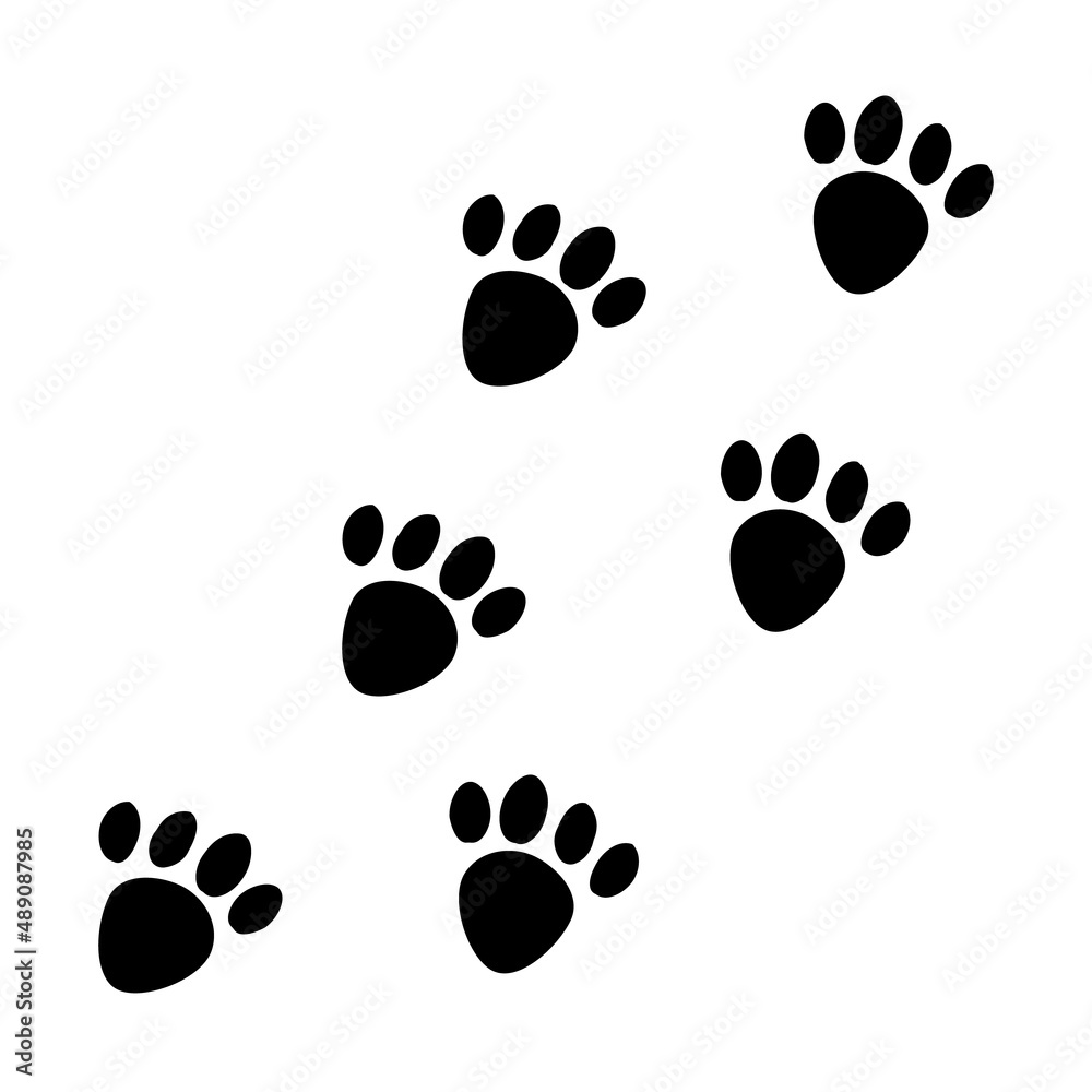 Paw prints. Multiple paw prints. Vectors. Paw prints. Multiple paw prints. Vectors.
