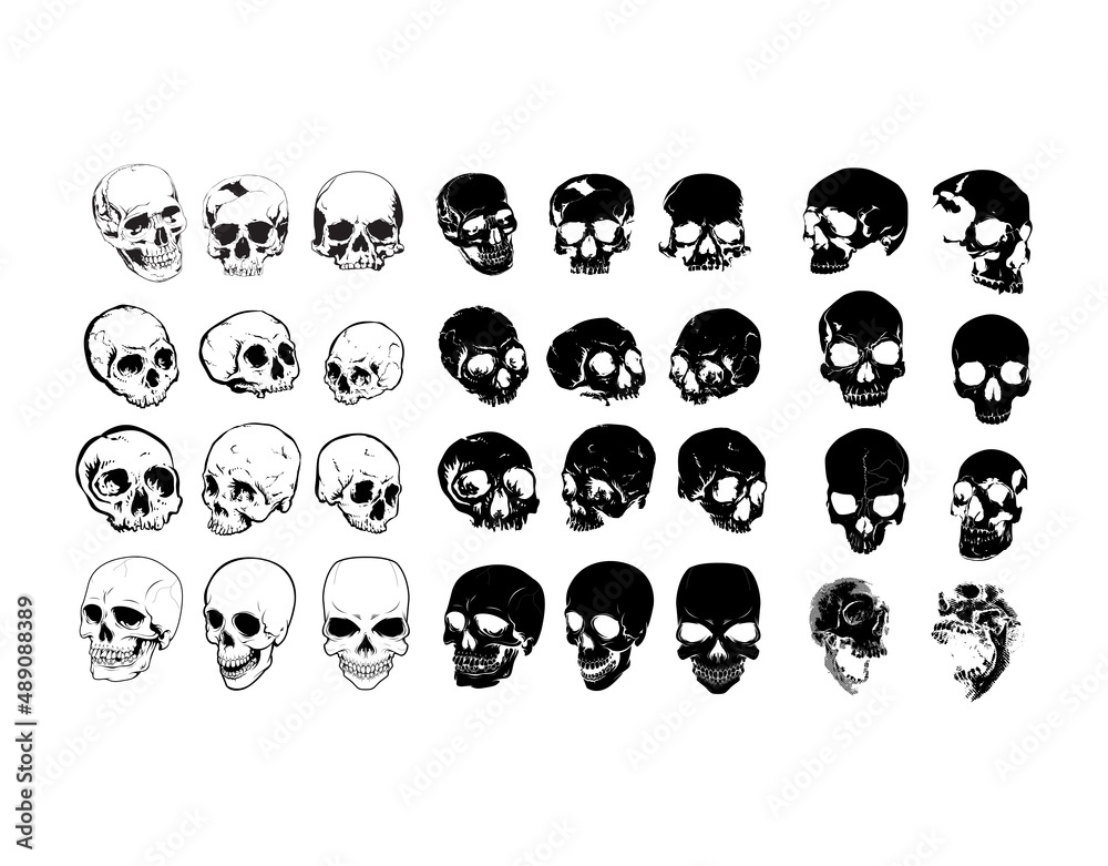 Vector Skull with monochrome and different of shapes