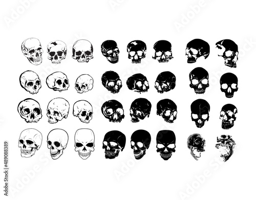 Vector Skull with monochrome and different of shapes