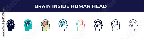 brain inside human head icon in 8 styles. line, filled, glyph, thin outline, colorful, stroke and gradient styles, brain inside human head vector sign. symbol, logo illustration. different style
