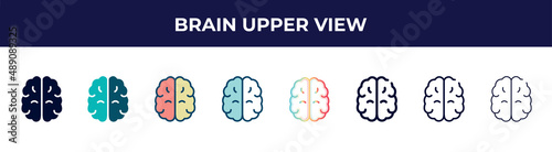 brain upper view icon in 8 styles. line, filled, glyph, thin outline, colorful, stroke and gradient styles, brain upper view vector sign. symbol, logo illustration. different style icons set.