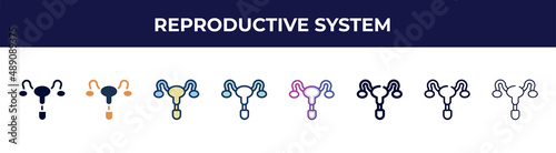 reproductive system icon in 8 styles. line, filled, glyph, thin outline, colorful, stroke and gradient styles, reproductive system vector sign. symbol, logo illustration. different style icons set.