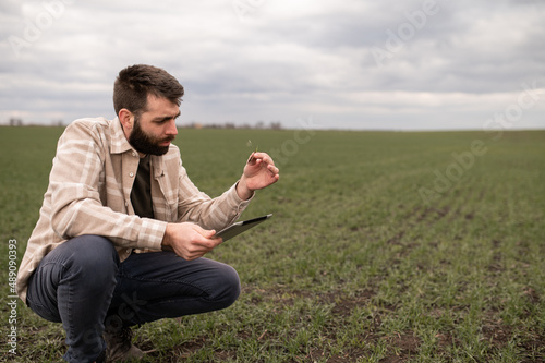 Farmer on a green wheat field with a tablet in his hands. Smart farm. Farmer checking his crops on an agricultural field. Ripening ears of wheat field. The concept of the agricultural business.