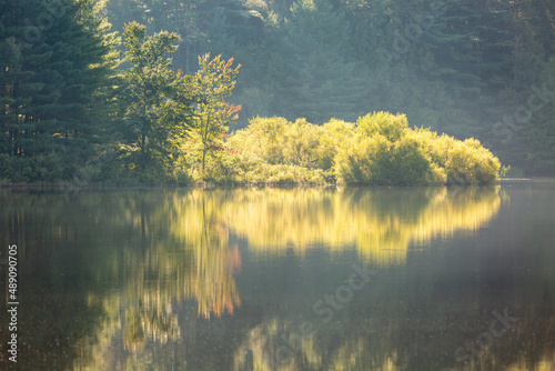 Fototapeta Naklejka Na Ścianę i Meble -  Serenity of pond with early morning light on trees