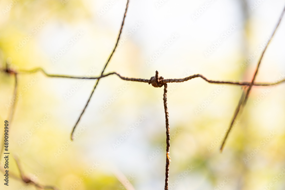 Closeup of rustic barbed wire fence Closeup of rustic barbed wire fence