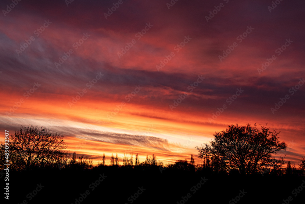 Colourful sunset clouds and trees silhouette