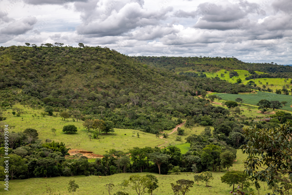 Obraz premium Tropical rural landscape typical of Brazil, with mountains and green fields