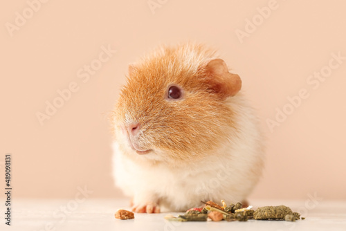 Funny Guinea pig with food on table against beige background photo