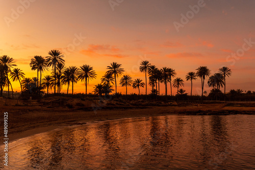 Fototapeta Naklejka Na Ścianę i Meble -  Silhouette of palm trees reflected in an orange sunset on a beach by the sea in the town of Torrevieja, Cala Ferris. White coast of the Mediterranean Sea of Alicante. Spain