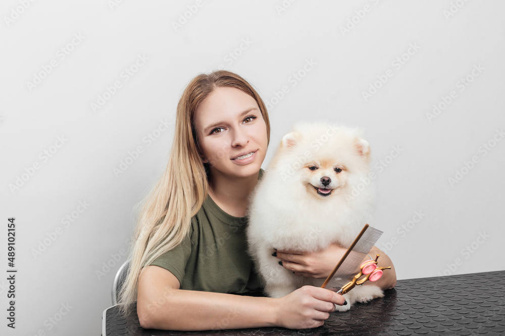 Female is grooming and trimming pomeranian spitz in salon Female is grooming and trimming pomeranian spitz in salon