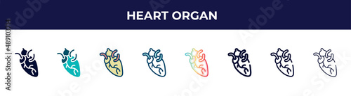 heart organ icon in 8 styles. line, filled, glyph, thin outline, colorful, stroke and gradient styles, heart organ vector sign. symbol, logo illustration. different style icons set.