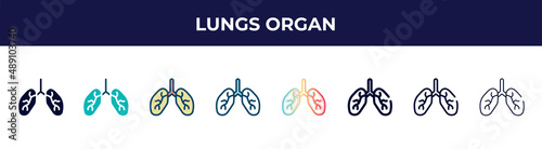 lungs organ icon in 8 styles. line, filled, glyph, thin outline, colorful, stroke and gradient styles, lungs organ vector sign. symbol, logo illustration. different style icons set.