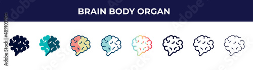 brain body organ icon in 8 styles. line, filled, glyph, thin outline, colorful, stroke and gradient styles, brain body organ vector sign. symbol, logo illustration. different style icons set.
