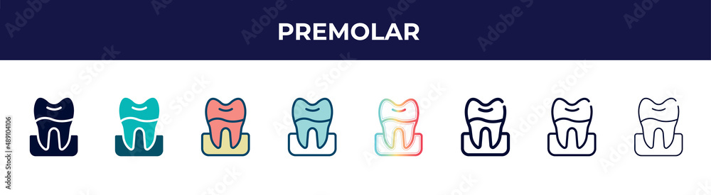 premolar icon in 8 styles. line, filled, glyph, thin outline, colorful, stroke and gradient styles, premolar vector sign. symbol, logo illustration. different style icons set. premolar icon in 8 styles. line, filled, glyph, thin outline, colorful, stroke and gradient styles, premolar vector sign. symbol, logo illustration. different style icons set.