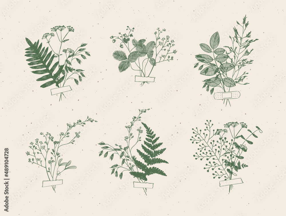 Branches and leaves are collected into a bouquet with sticker drawing in green color on beige background