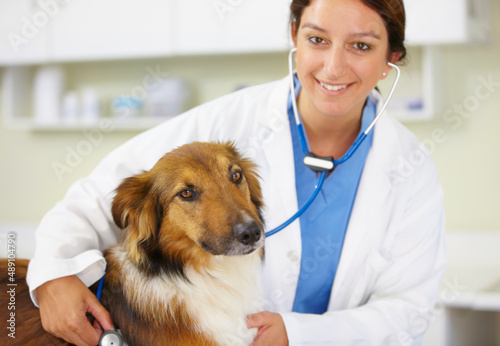 Fototapeta Naklejka Na Ścianę i Meble -  Animals are her first love. Shot of a young female veterinarian examining a dog in her office.