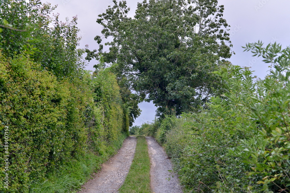 Obraz premium Dirt track through countryside