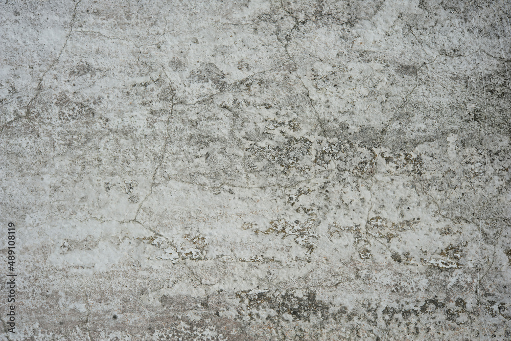 Stone Texture Close Up Wall