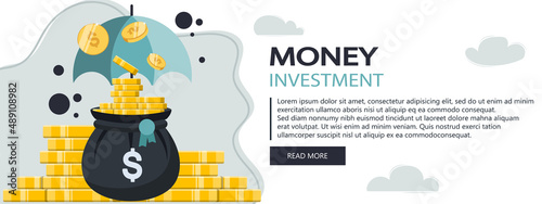 Finance Insurance. Money Investment. Money security. Flat vector illustration. Website banner