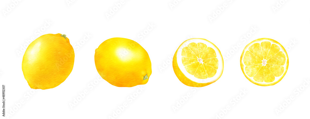 レモンと半分のレモン 新鮮なフルーツの水彩手描きイラストセット ベクター素材 Stock Vector Adobe Stock