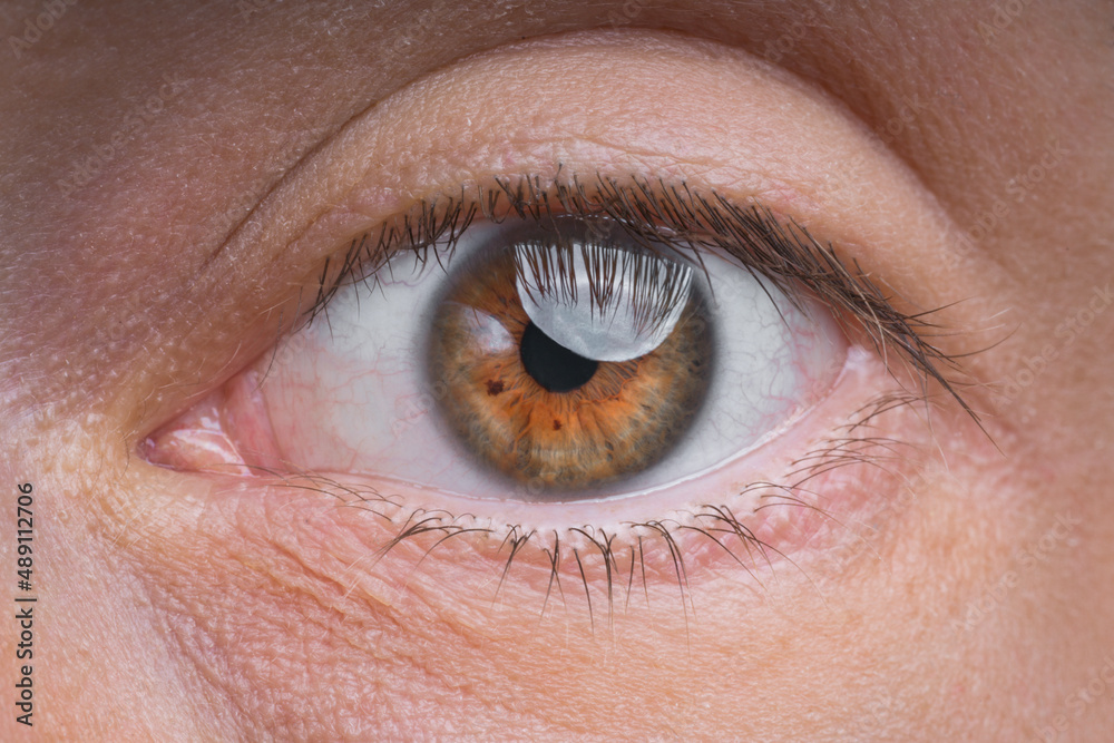 Closeup of young man single brown eye Closeup of young man single brown eye